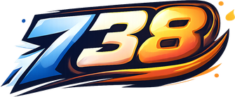 738